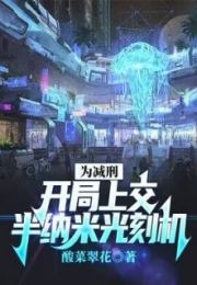 为减刑开局上交半纳米光刻机免费读