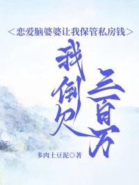 恋爱脑婆婆让我保管私房钱，我倒欠三百万
